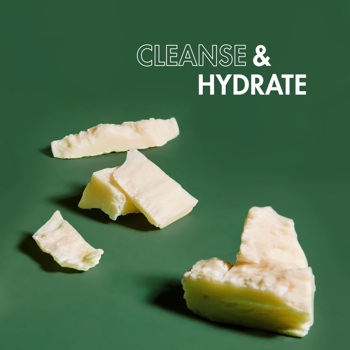 Moisturizing Shampoo Raw Shea Butter and Mafura Oil, 15 Oz