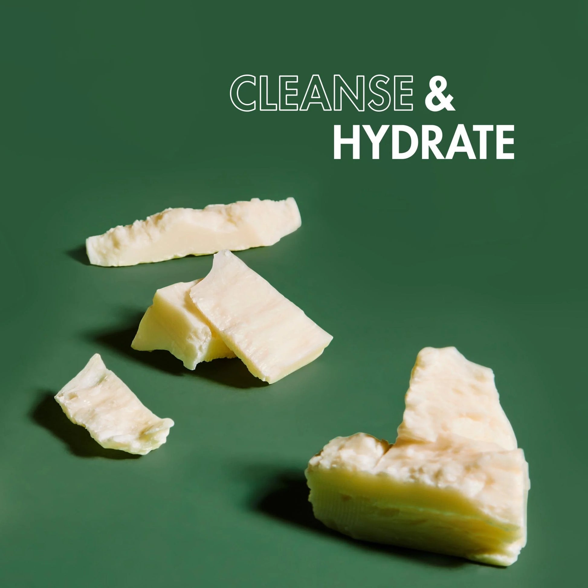 Moisturizing Shampoo Raw Shea Butter and Mafura Oil, 15 Oz